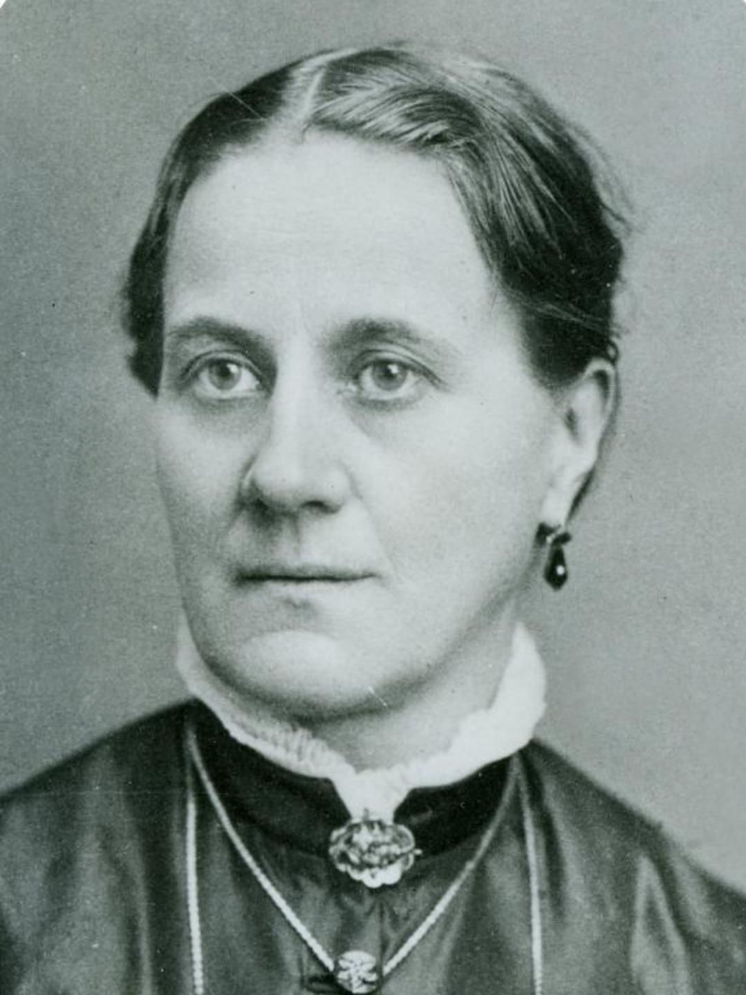 Agnes Elizabeth Perkes (1840 - 1916) Profile